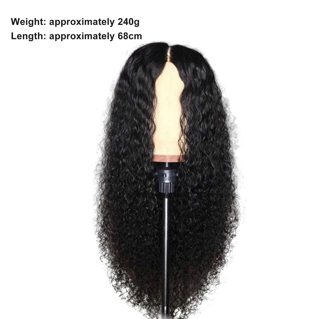 Long Hair Curly Wigs