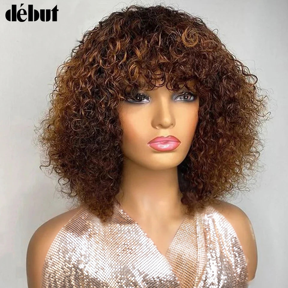 Jerry Curly Short Pixie Bob