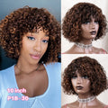 Jerry Curly Short Pixie Bob
